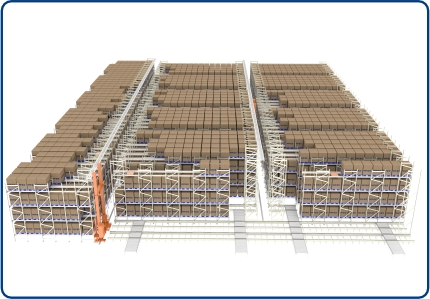 Shuttle Stacker Crane Storage